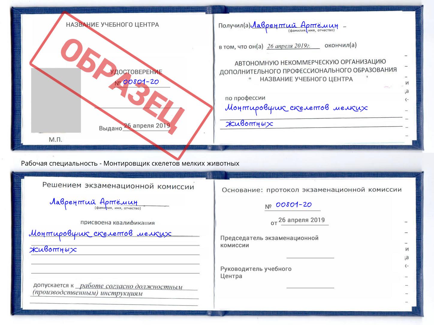 Монтировщик скелетов мелких животных Копейск