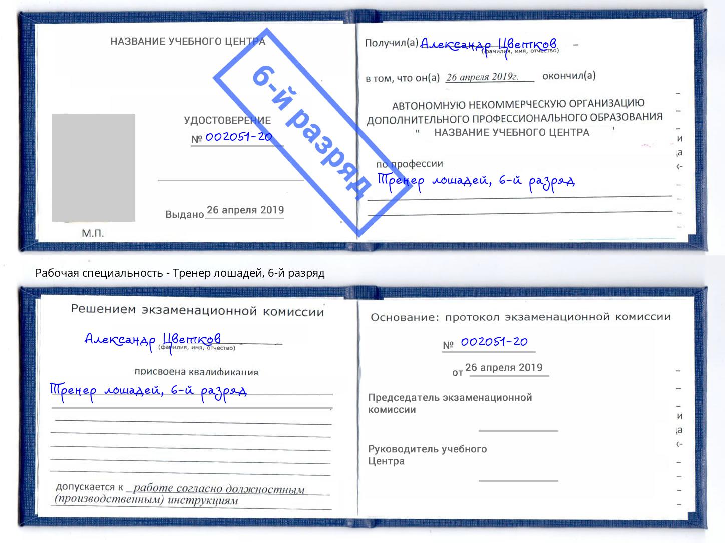 корочка 6-й разряд Тренер лошадей Копейск
