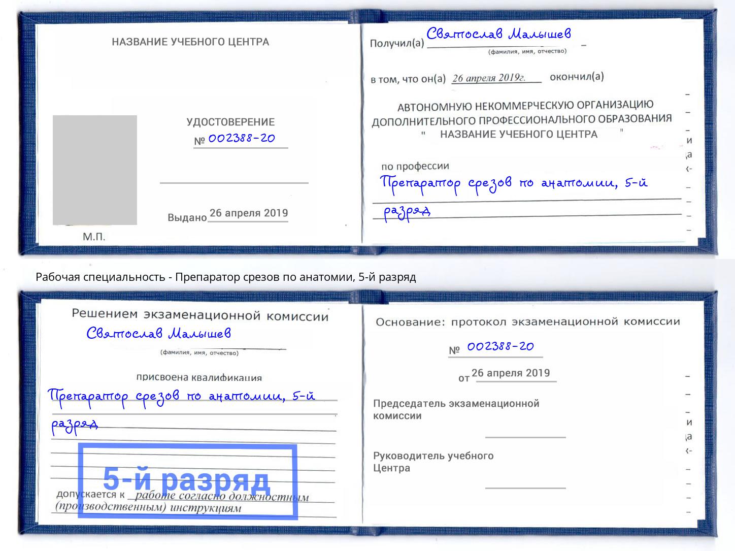 корочка 5-й разряд Препаратор срезов по анатомии Копейск