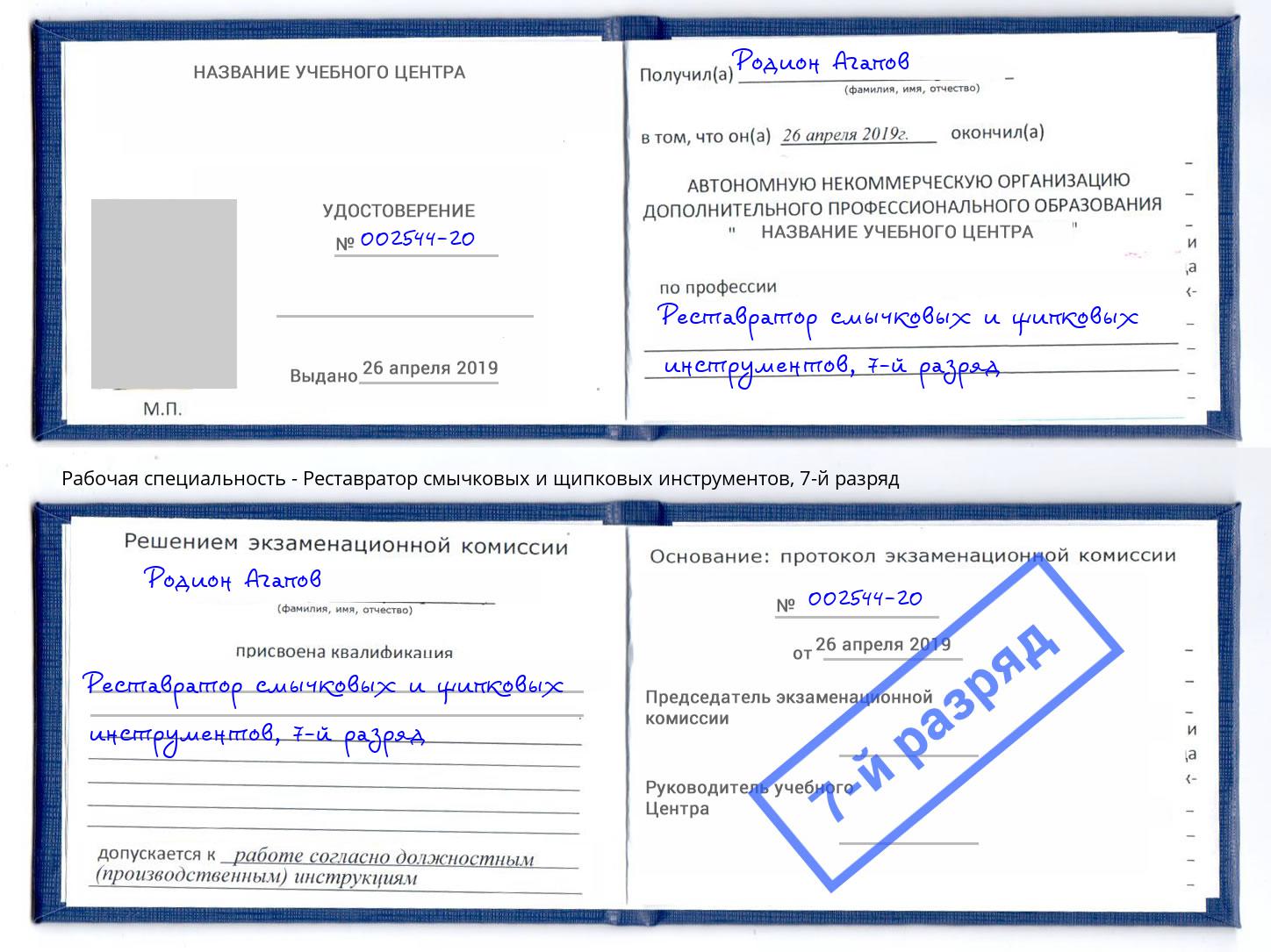 корочка 7-й разряд Реставратор смычковых и щипковых инструментов Копейск